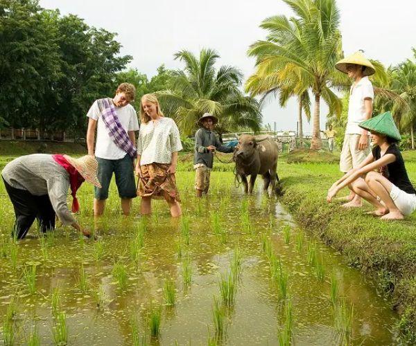 Trải nghiệm văn hóa địa phương và hỗ trợ phát triển kinh tế cho người dân bản địa.