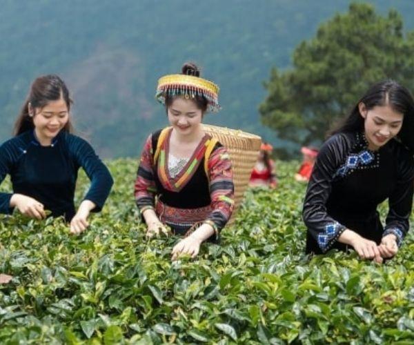 Du lịch bền vững bảo tồn giá trị văn hóa và thúc đẩy sự tôn trọng giữa các nền văn hóa.